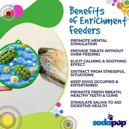 SodaPup Water Nylon eCoin Enrichment Snacking Coin
