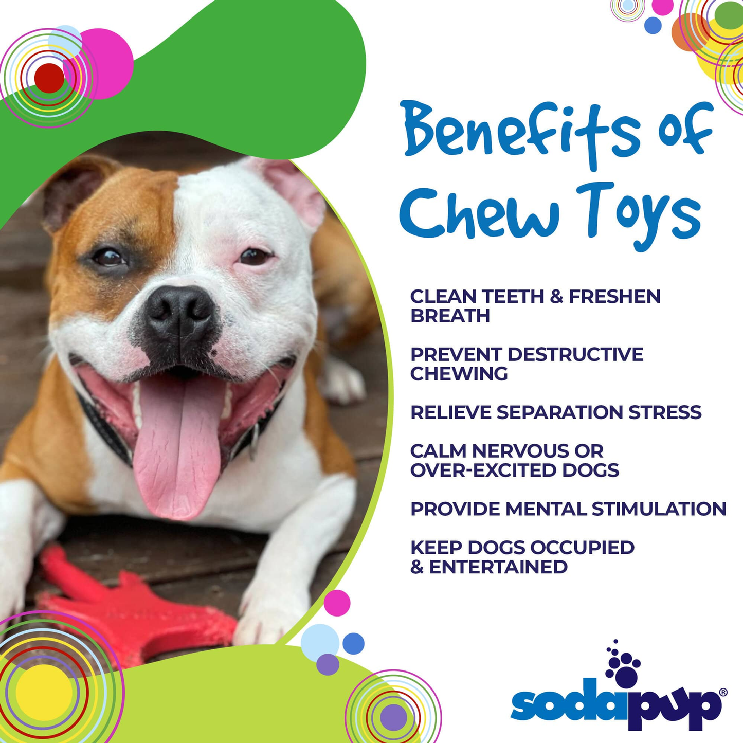 SodaPup Electric Guitar Ultra-Durable Nylon Chew Toy