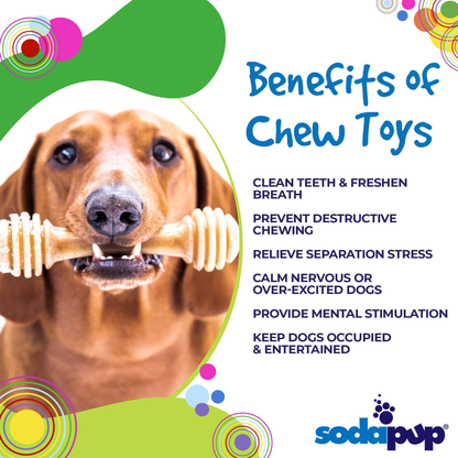 SodaPup Honey Bone Nylon Dog Chew Toy for Aggressive Chewers