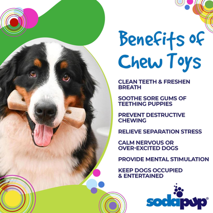 SodaPup MOD Bone Nylon Dog Chew Toy