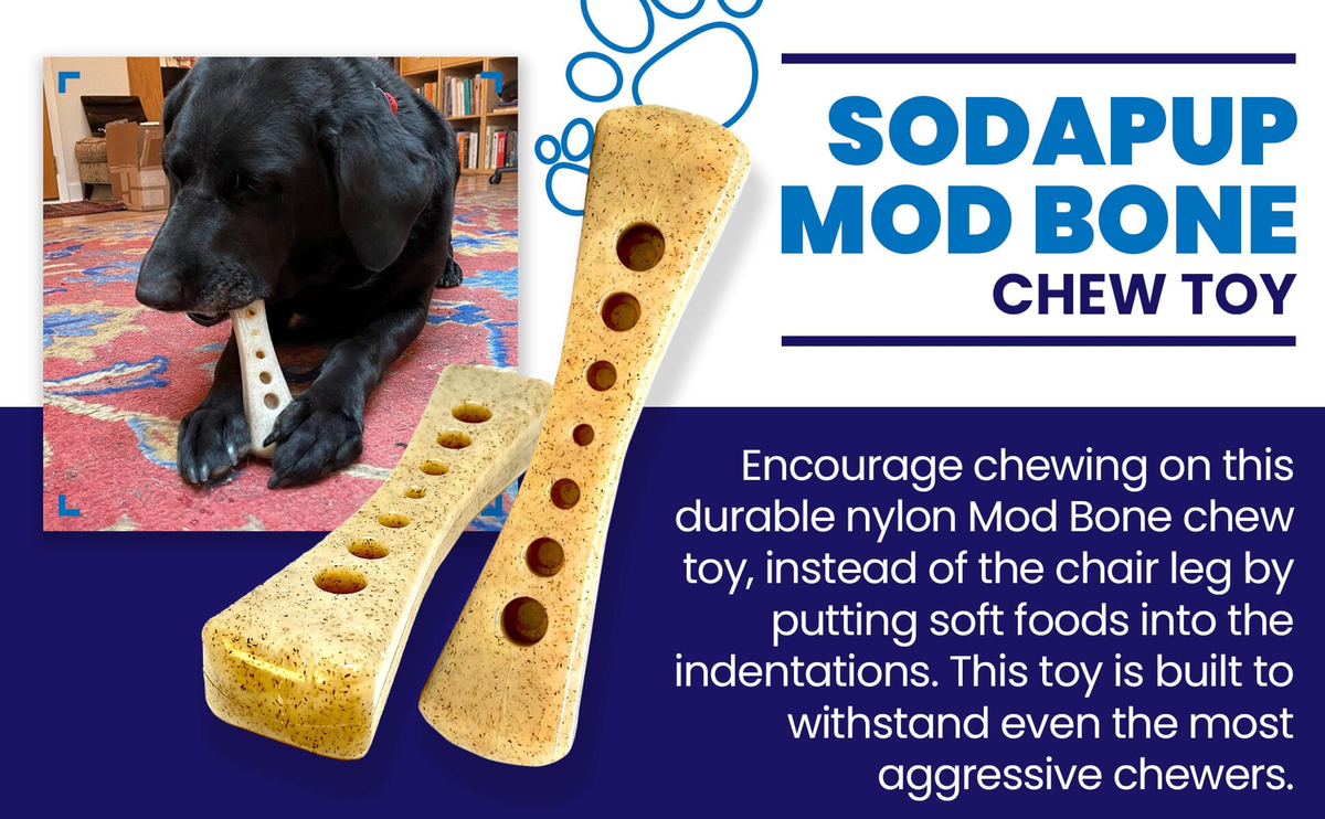 SodaPup MOD Bone Nylon Dog Chew Toy
