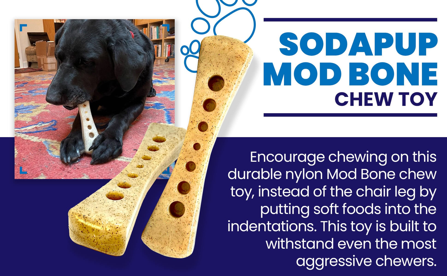 SodaPup MOD Bone Nylon Dog Chew Toy