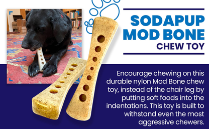 SodaPup MOD Bone Nylon Dog Chew Toy