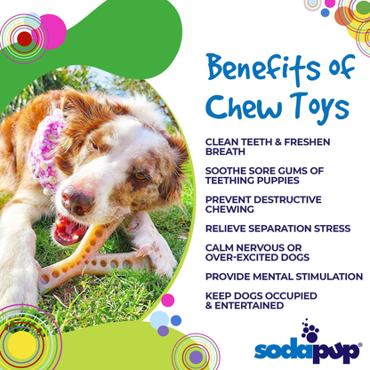 SodaPup MOD Wishbone Nylon Dog Chew Toy