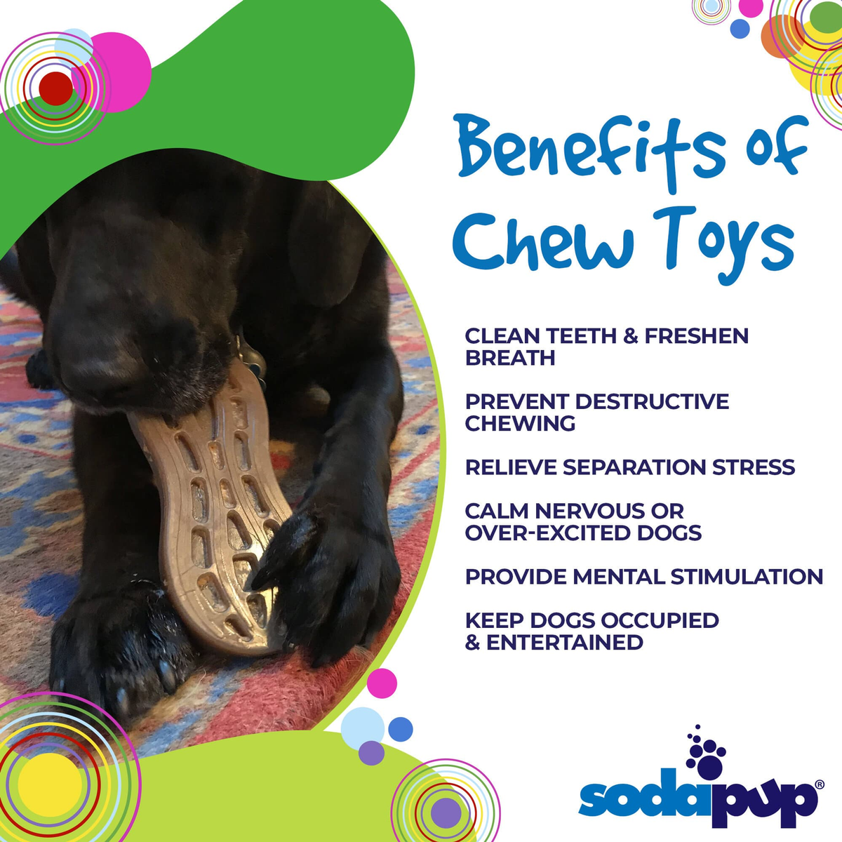 SodaPup Peanut Ultra-Durable Nylon Dog Chew Toy
