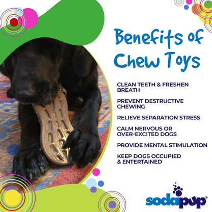 SodaPup Peanut Ultra-Durable Nylon Dog Chew Toy