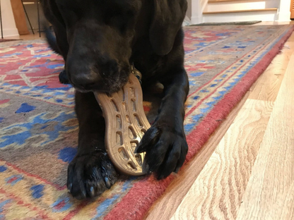 SodaPup Peanut Ultra-Durable Nylon Dog Chew Toy