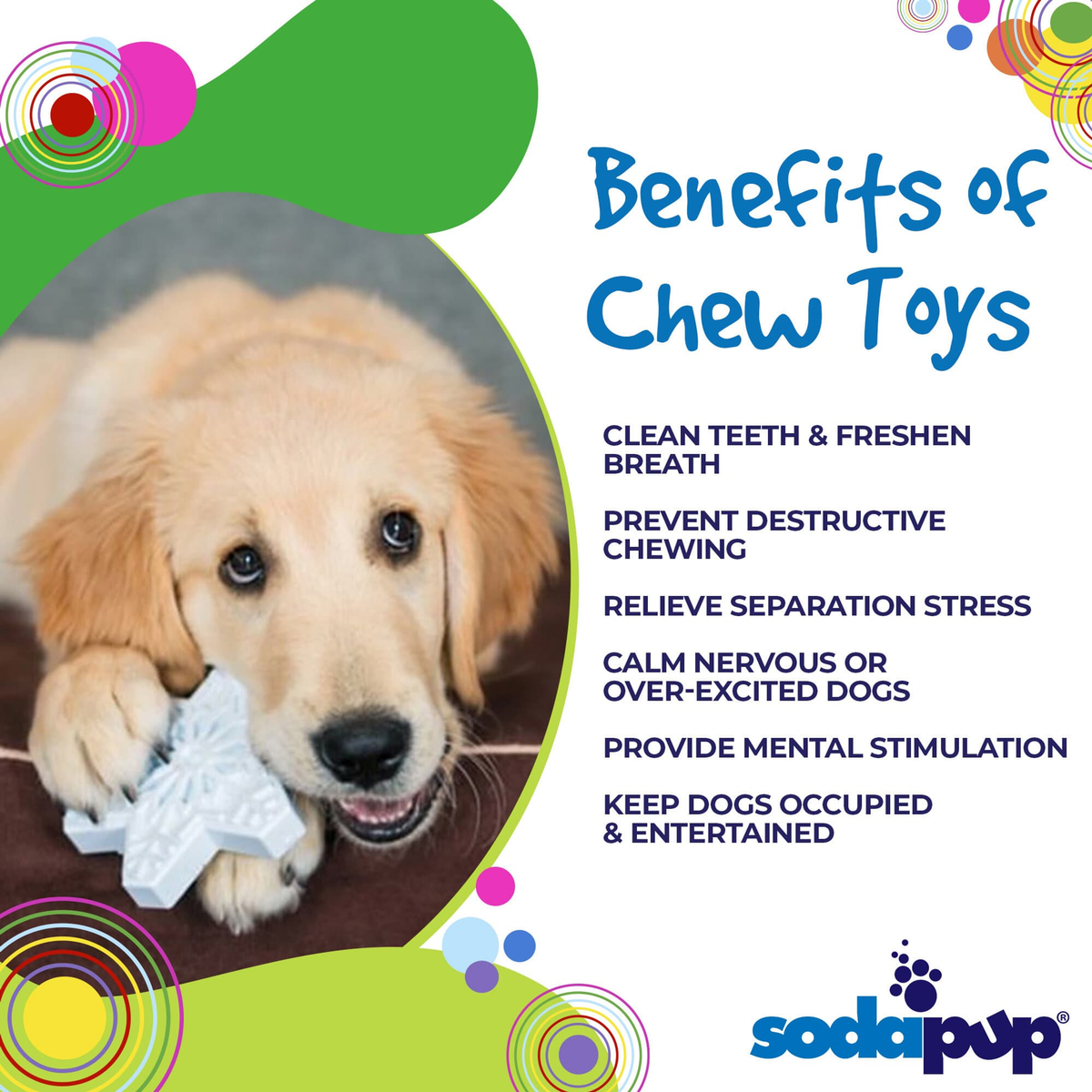 SodaPup Snowflake Nylon Dog Chew Toy