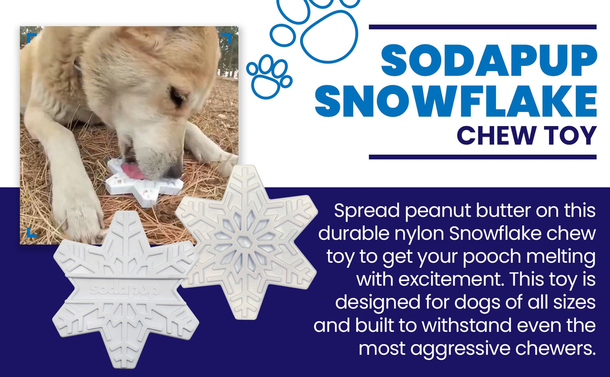 SodaPup Snowflake Nylon Dog Chew Toy