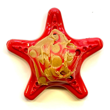SodaPup Starfish Nylon Dog Chew Toy for Aggressive Chewers