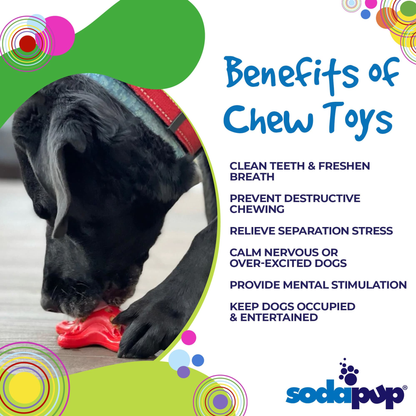 SodaPup Starfish Nylon Dog Chew Toy for Aggressive Chewers
