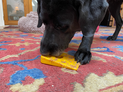 SodaPup Swiss Cheese Wedge Nylon Dog Chew Toy