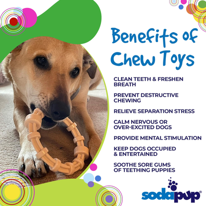 SodaPup Chicken-Flavored Teething Ring for Puppies
