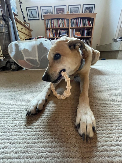 SodaPup Chicken-Flavored Teething Ring for Puppies
