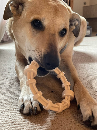 SodaPup Chicken-Flavored Teething Ring for Puppies