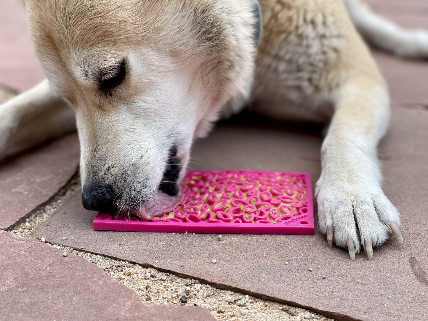SodaPup Flower Power eMat Enrichment Lick Mat - Large