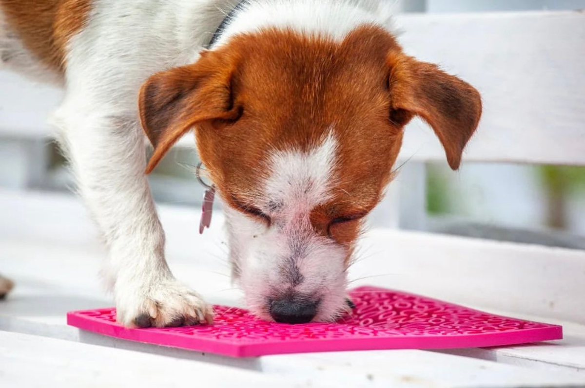 SodaPup Flower Power eMat Enrichment Lick Mat - Small
