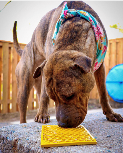 SodaPup Honeycomb eMat Enrichment Lick Mat - Large
