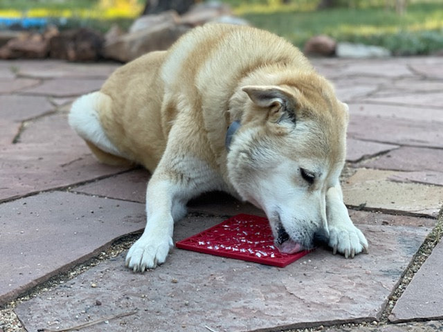 SodaPup Love eMat Enrichment Lick Mat - Small