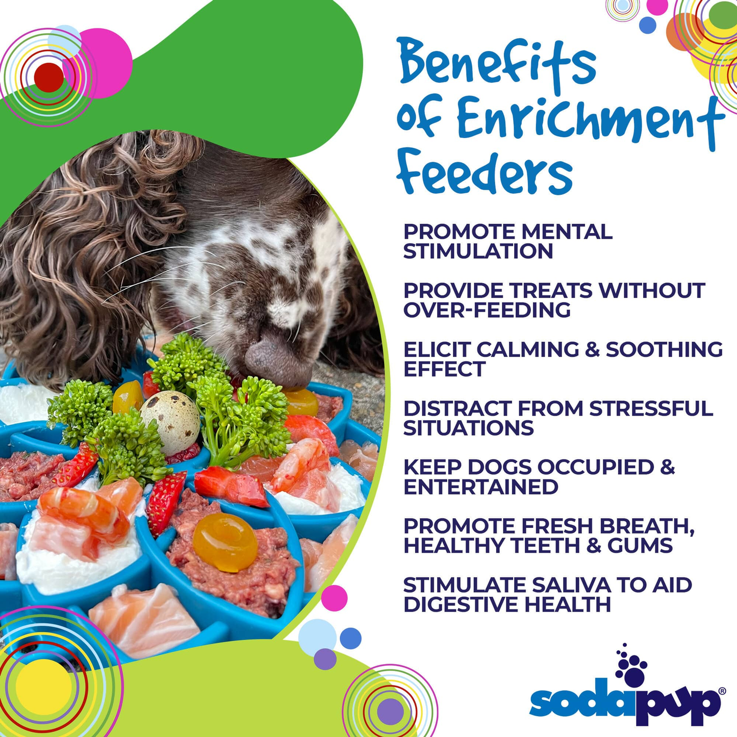 SodaPup Mandala eTray Enrichment Slow Feeder Tray