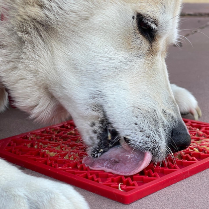 SodaPup Peace Tree eMat Enrichment Lick Mat