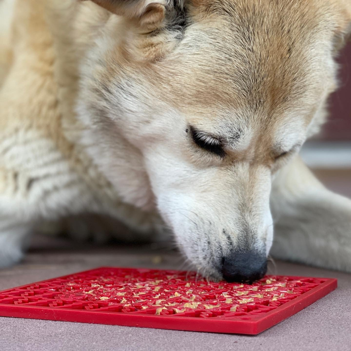 SodaPup Peace Tree eMat Enrichment Lick Mat