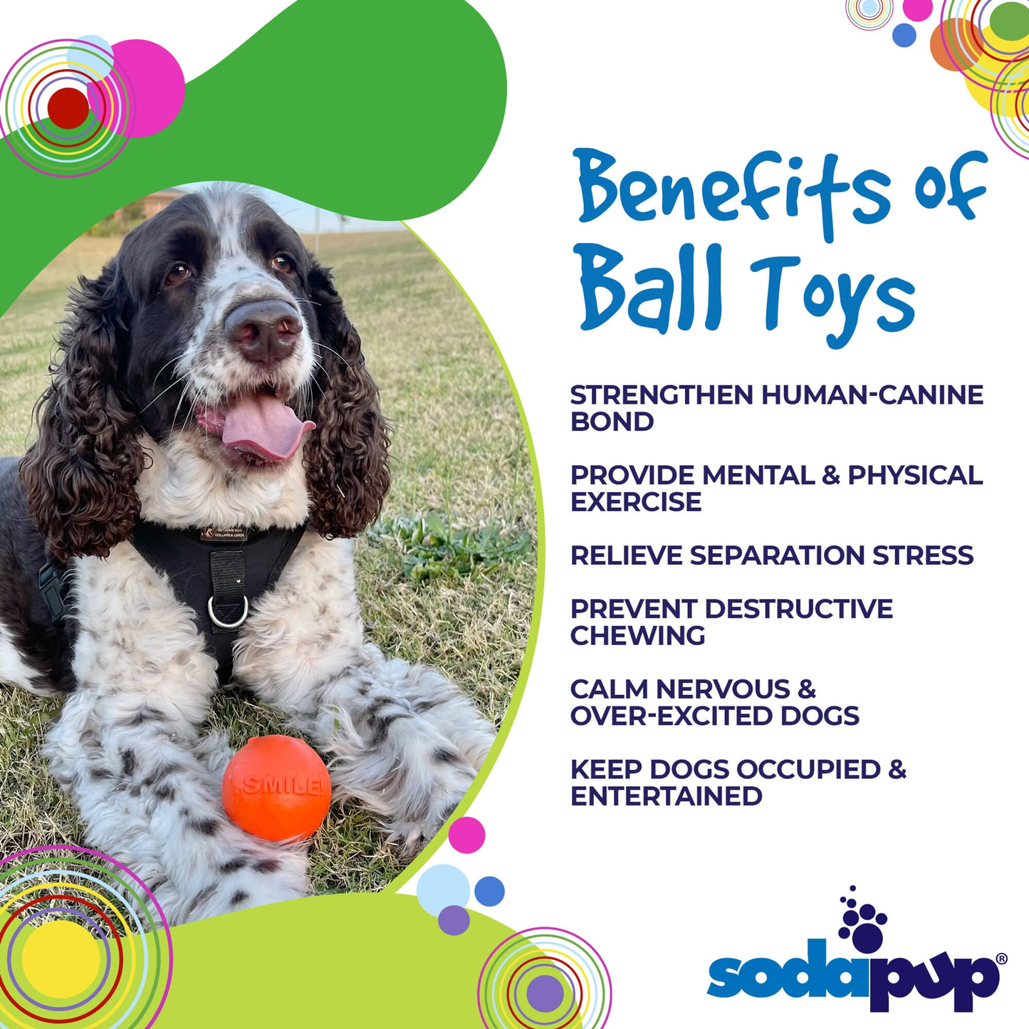 SodaPup Smile Ball Rubber Chew & Floating Fetch Toy