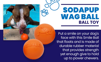 SodaPup Smile Ball Rubber Chew & Floating Fetch Toy