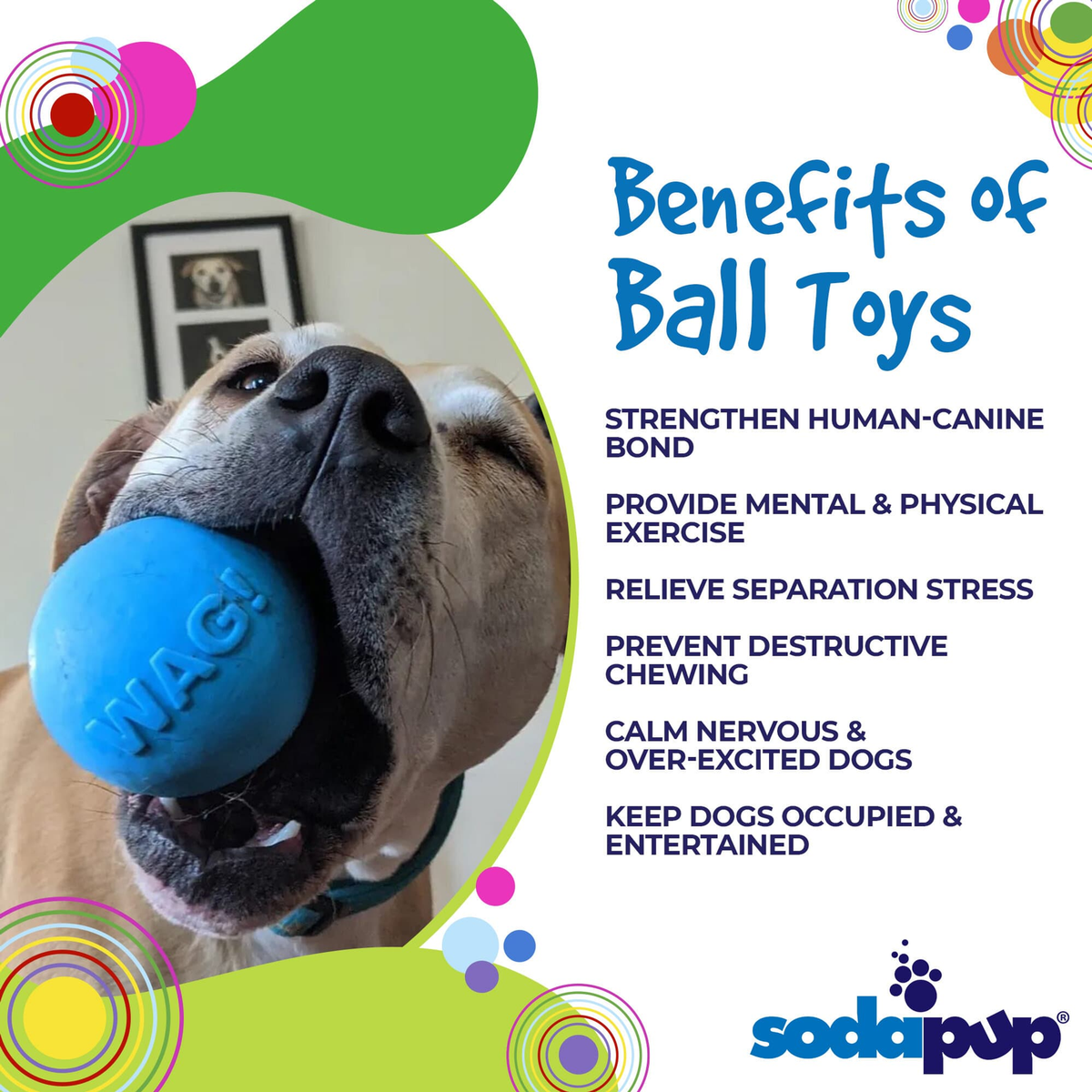 SodaPup Wag Ball Ultra-Durable Rubber Chew Toy