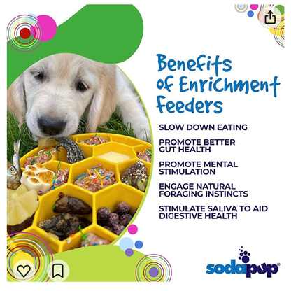 SodaPup Honeycomb eBowl Deep Slow Feeder Dog Bowl
