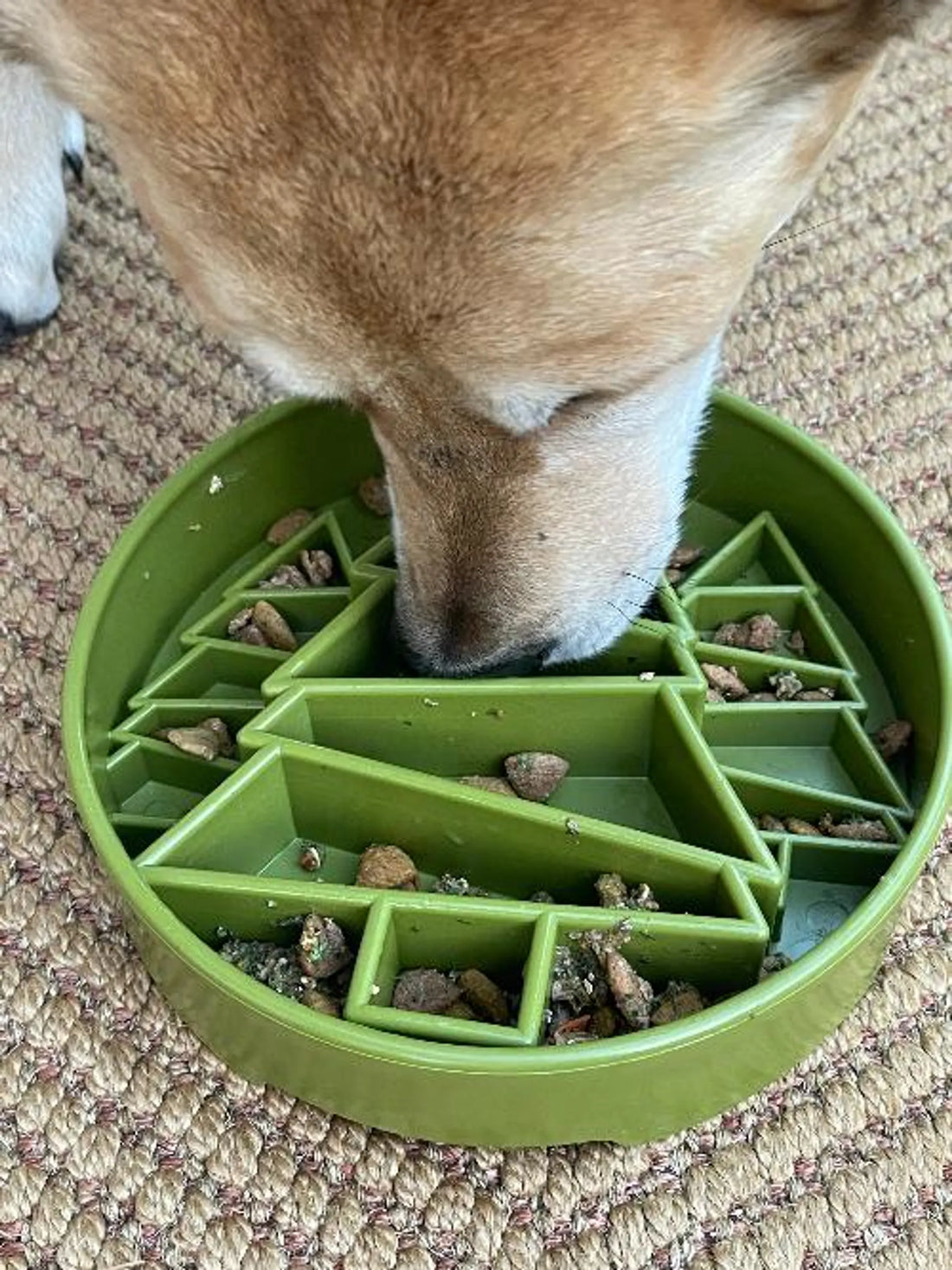 Pine Tree Christmas eBowl Deep Slow Feeder Dog Bowl for Enrichment