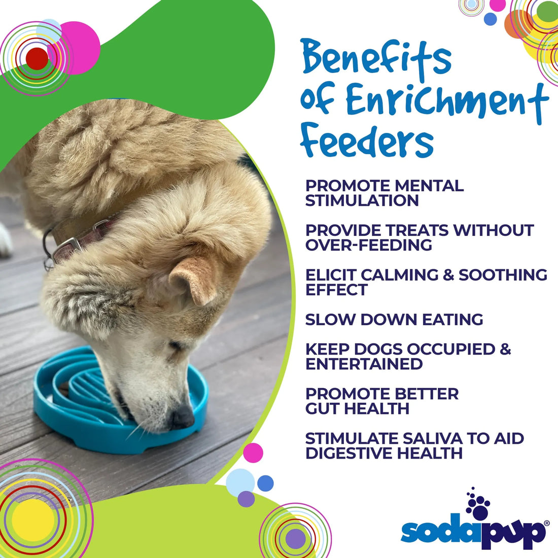 Baja Design eTray - Shallow Slow Feeder Dog Bowl for Enrichment