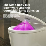 Toilet Sensor UV Sterilization Night Light
