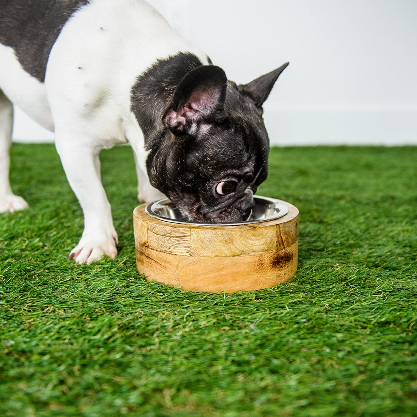 GF Pet Mango Wood Single Bowl
