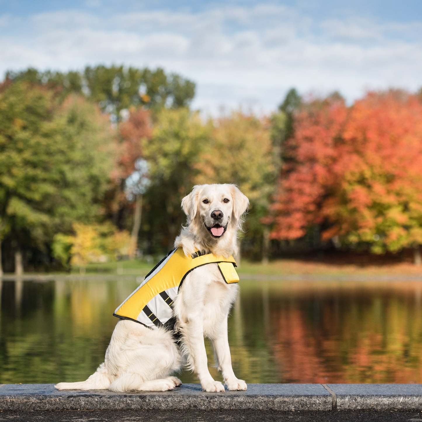 GF Pet Dog Life Vest