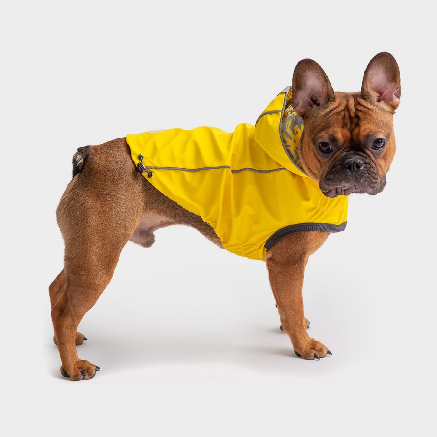 GF Pet Reversible Elasto-Fit Dog Raincoat
