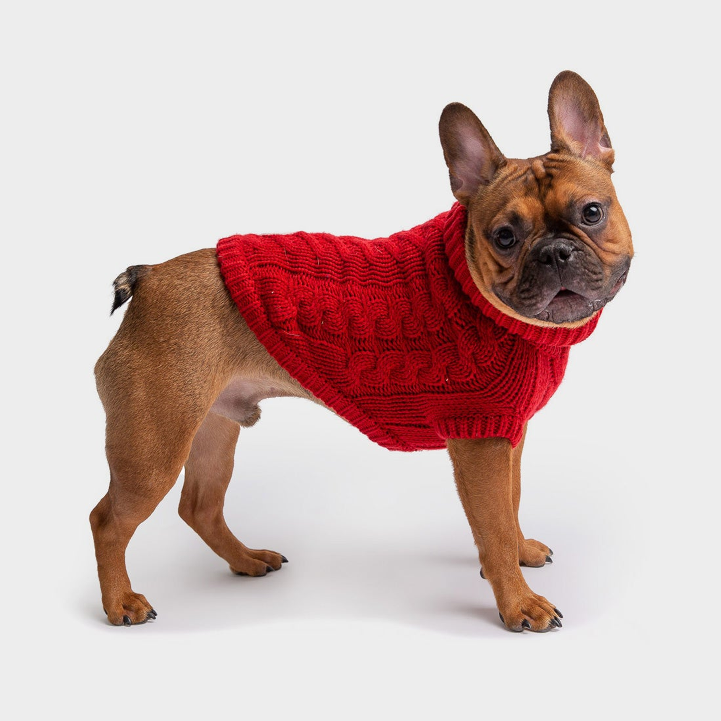 GF Pet Chalet Cable-Knit Dog Sweater