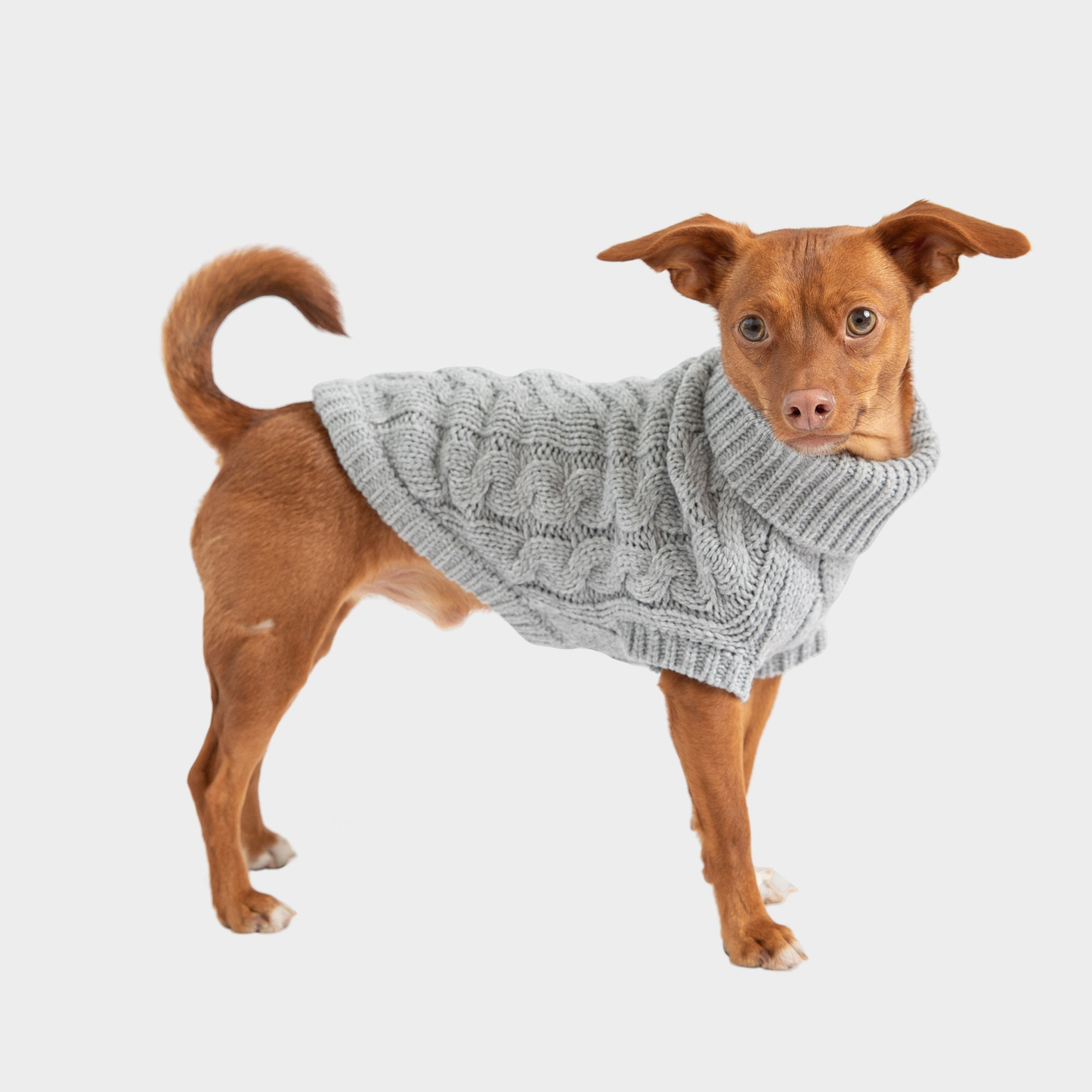 GF Pet Chalet Cable-Knit Dog Sweater