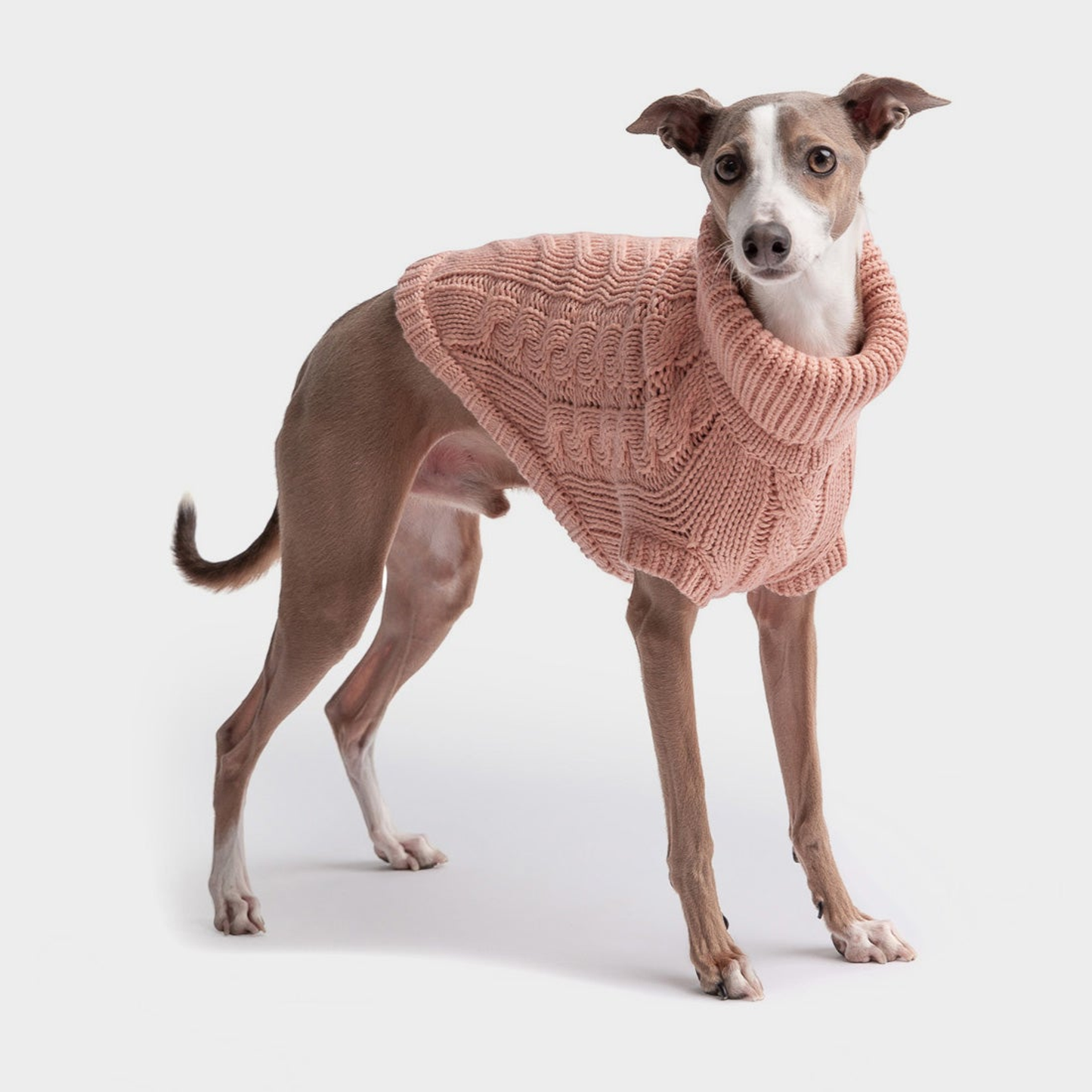 GF Pet Chalet Cable-Knit Dog Sweater