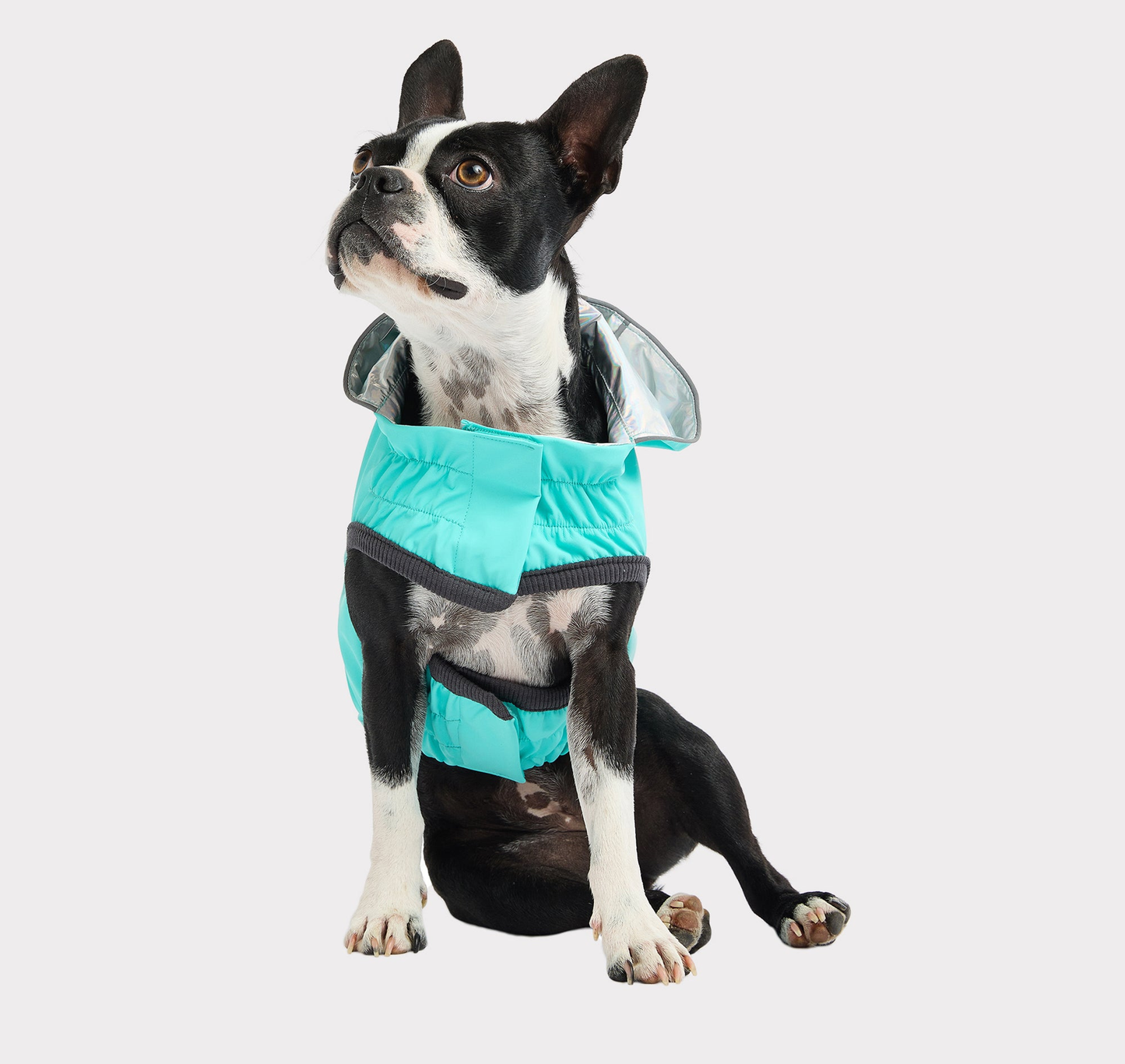 GF Pet Reversible Raincoat for Dogs