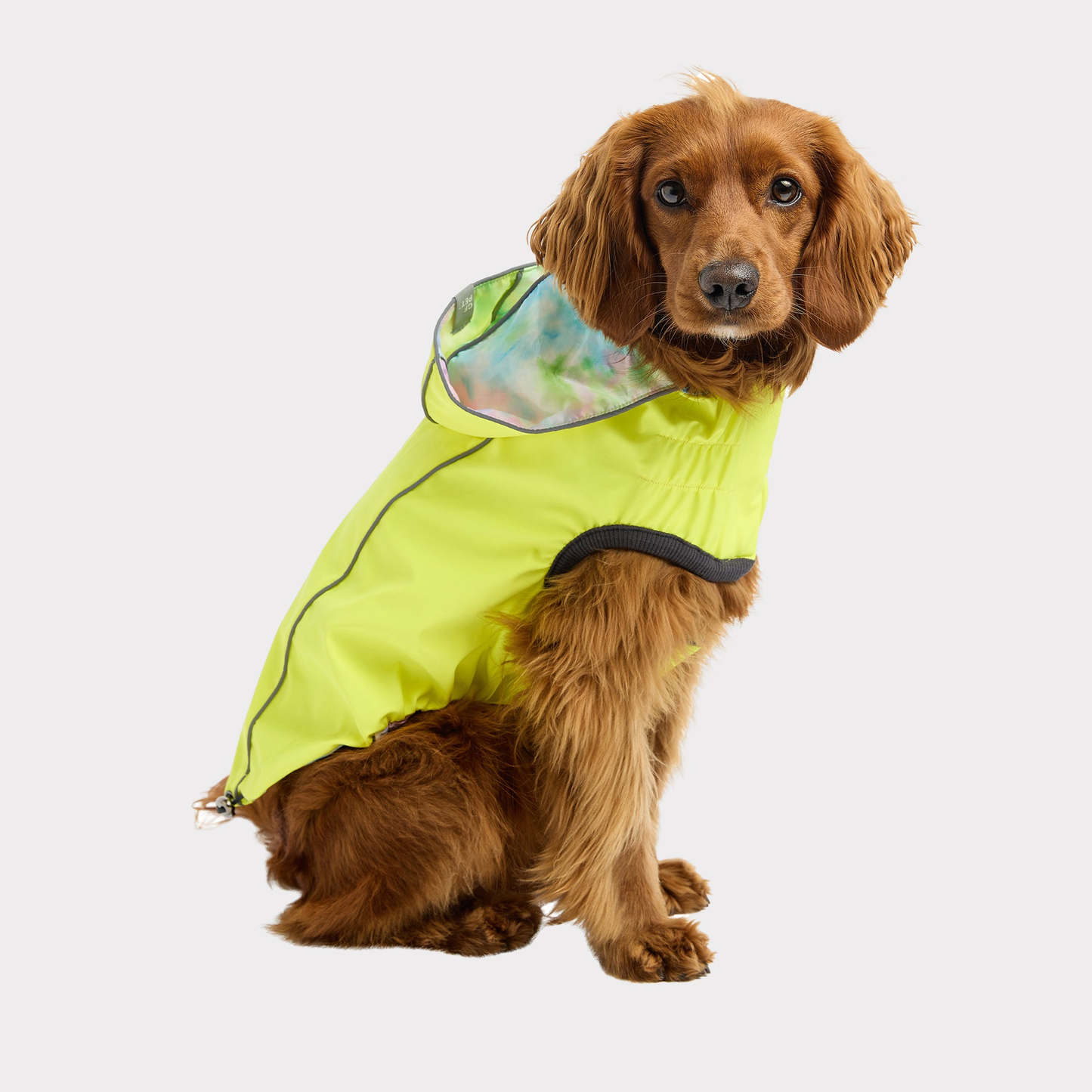 GF Pet Reversible Raincoat for Dogs