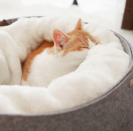 Grey pet bed shown with raised rim and cushioned center
