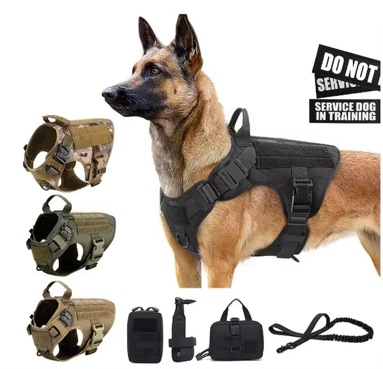 Malinois wearing a black tactical dog harness, with camo, green and tan harnesses