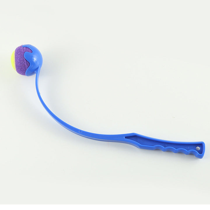 Dog fetch toy color options