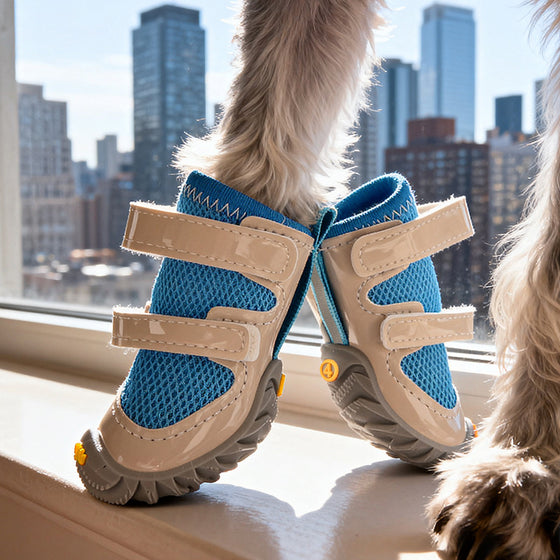 Blue mesh dog shoes with two straps on a windowsill
