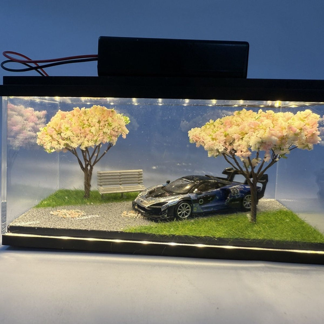 Acrylic display model