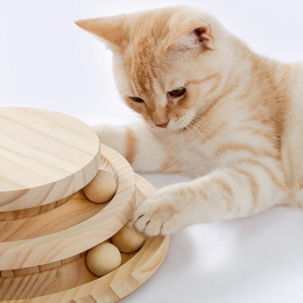Ginger cat batting balls in the wooden ball track