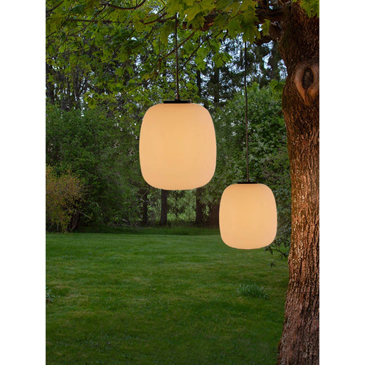 Decorative Outdoor Garden LED Light
