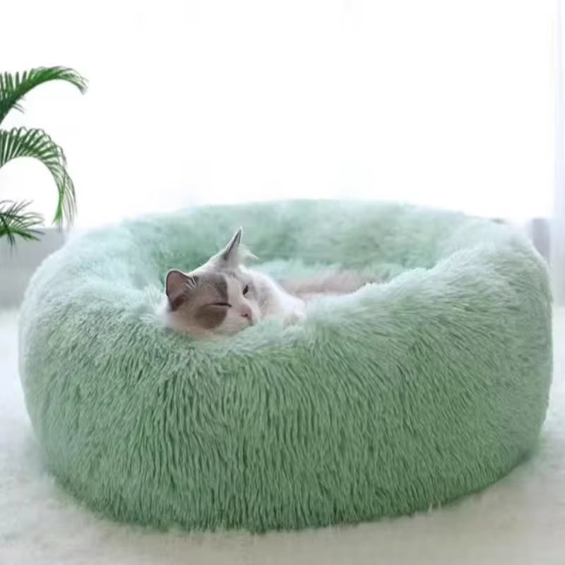 Dog curled up in CloudNest calming plush bed