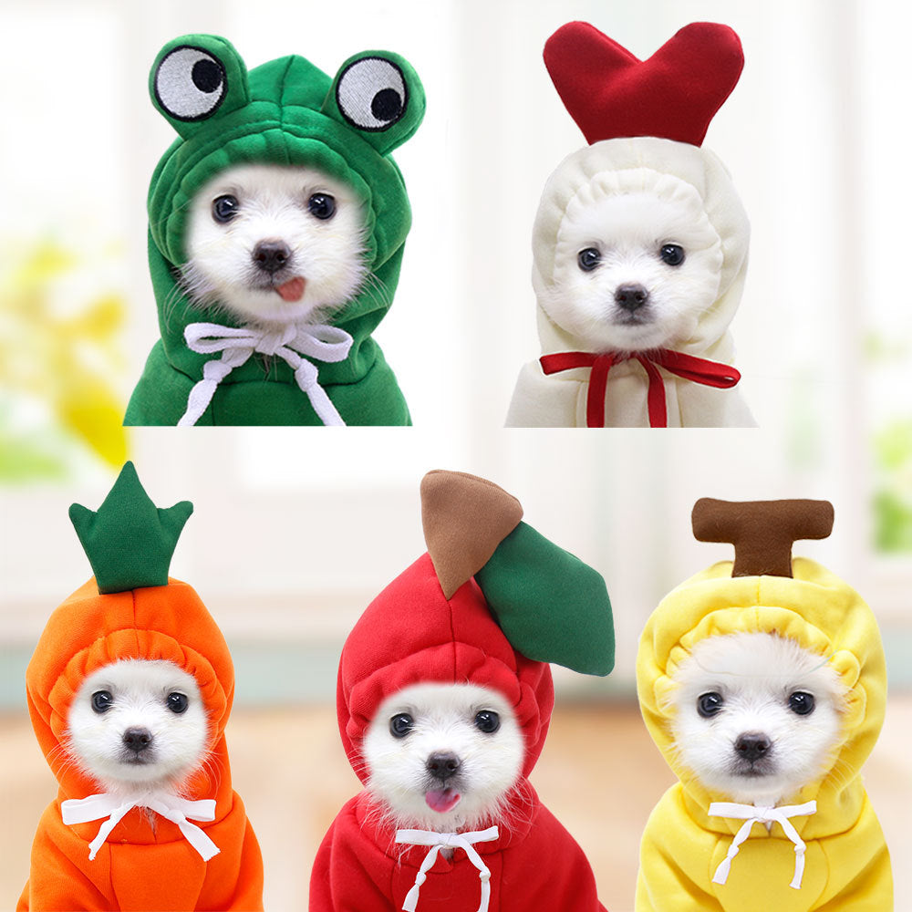 Grid of small dogs wearing frog, heart, carrot, apple and banana hoodies